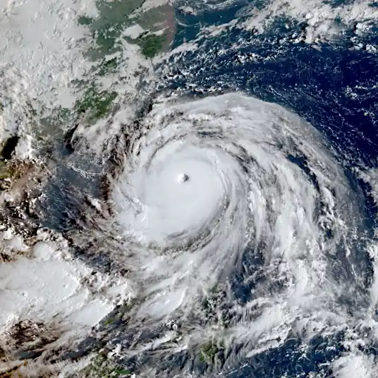 关门窗！关门窗！关门窗！深圳有狂风暴雨！&ldquo;建议准备至少3天的应急物资&rdquo;