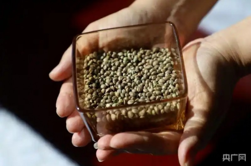 微信截图_20250929144337