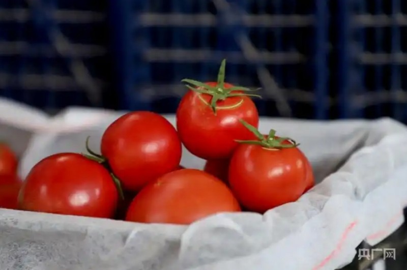 微信截图_20250929144401