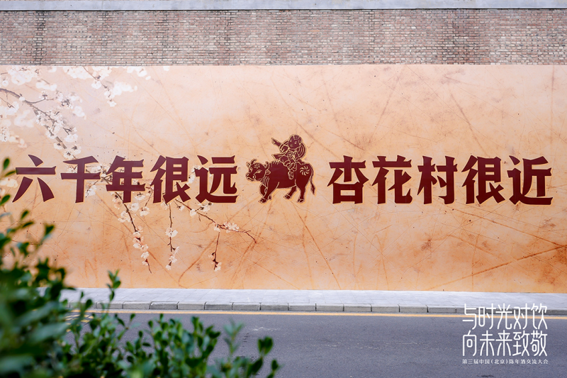 杏花村酒，老味道的“新表达”