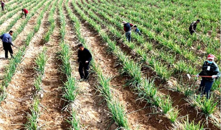 微信截图_20250930135147