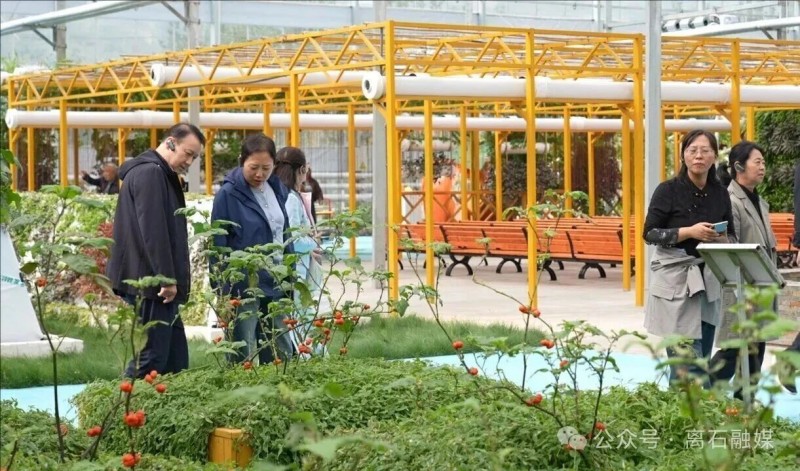 山西省离石区组织退休老干部观摩调研重点项目1