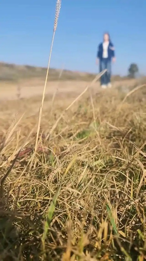 622762d0f703918fd96e4a658f23b38758eec495----