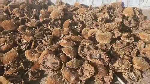 5fdf8db1cb134954fd64e78f8b500748d0094a96----