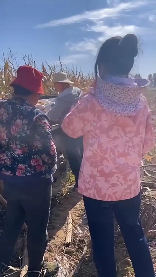 b03533fa828ba61ef6c41dc49f2a021a314e59e6--