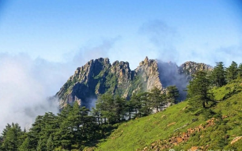 微信截图_20251010095435