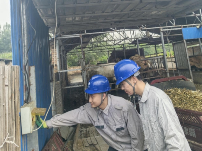 微信截图_20251011152333