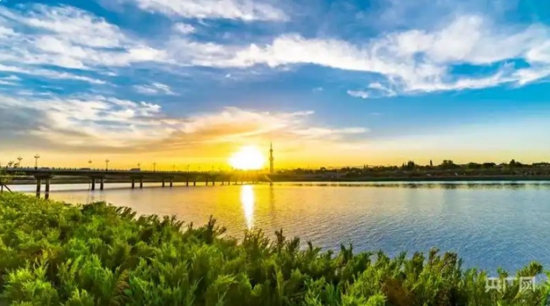 微信截图_20251011153915