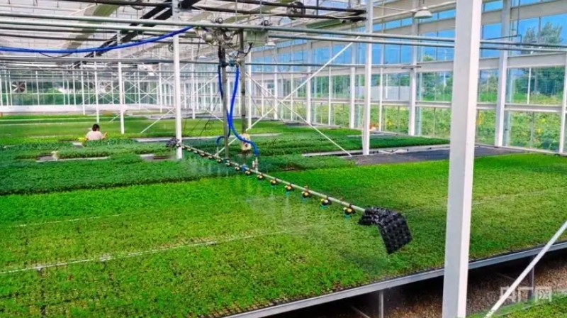 微信截图_20251011153942