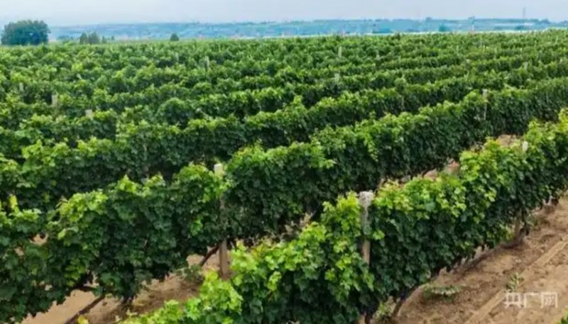 微信截图_20251011154250