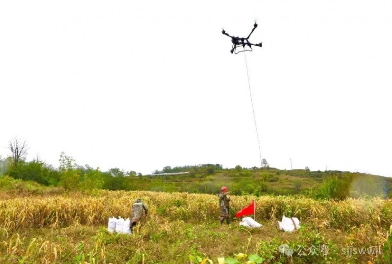 微信截图_20251012142520