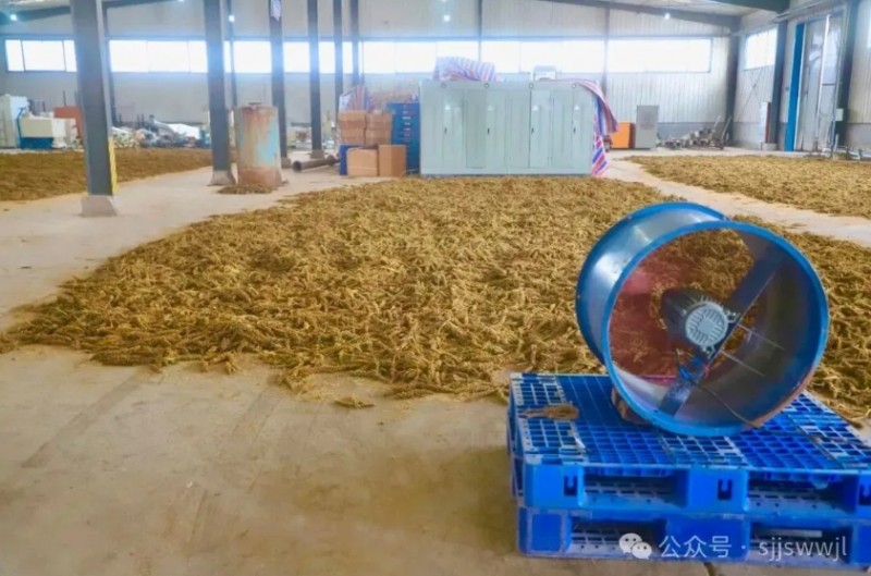 微信截图_20251012142539