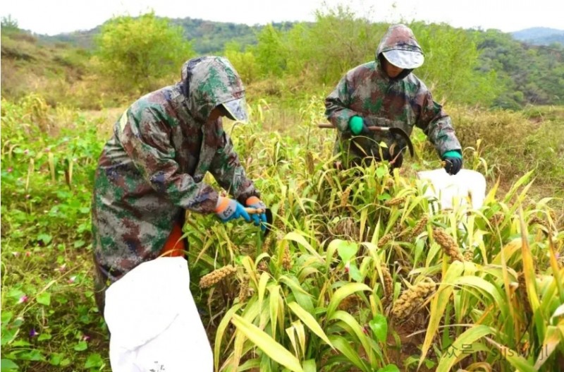 微信截图_20251012142558