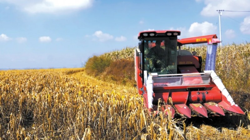 微信截图_20251015162641