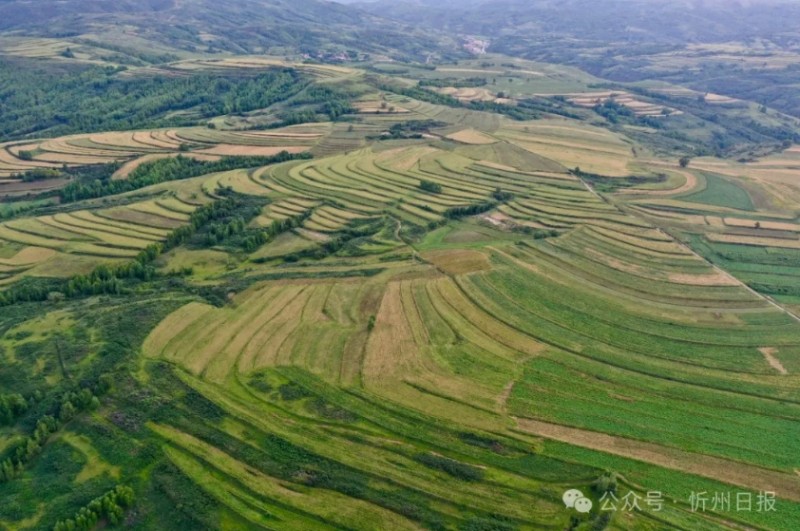 微信截图_20251016102345