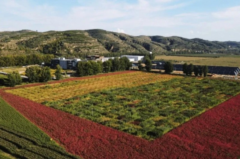 微信截图_20251016102509