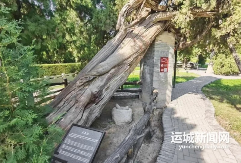 微信截图_20251016103609