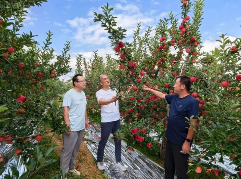 微信截图_20251016151151