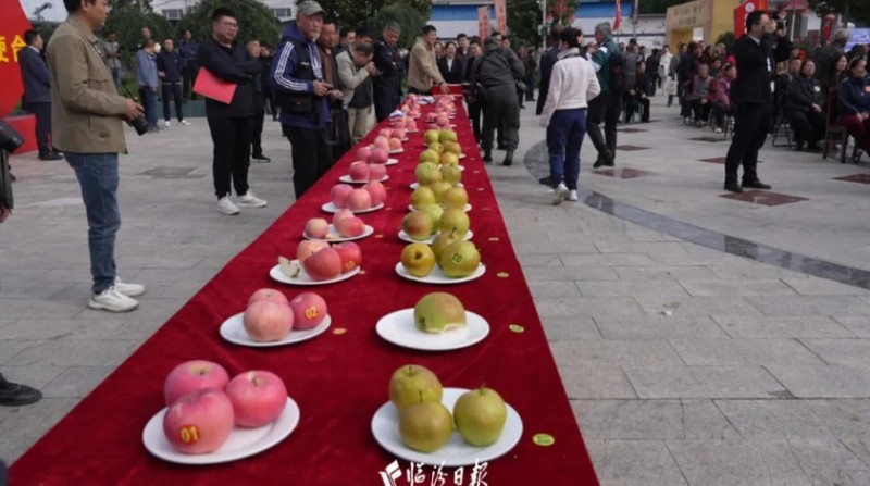 微信截图_20251016152516