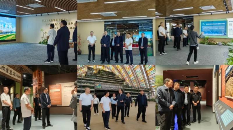 微信截图_20251016163531