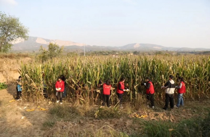 微信截图_20251017163749