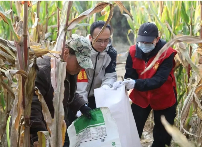 微信截图_20251017163808