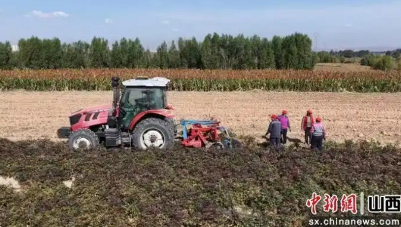 微信截图_20251017164841