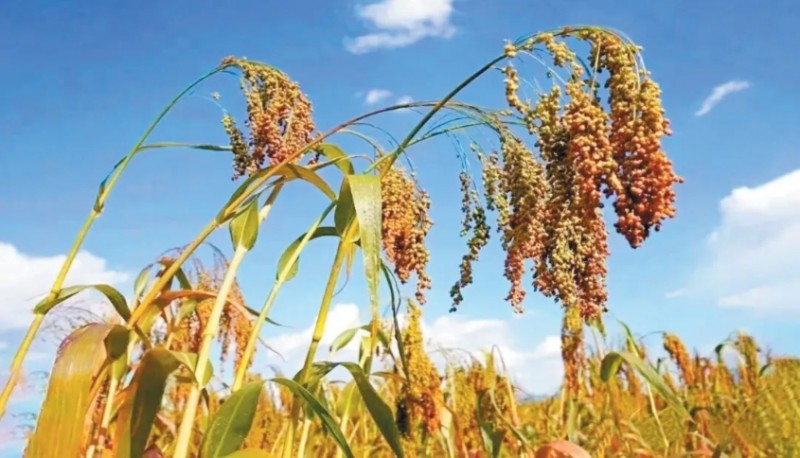 微信截图_20251020143612