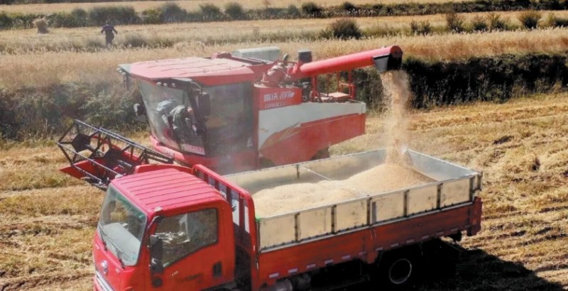 微信截图_20251020143759