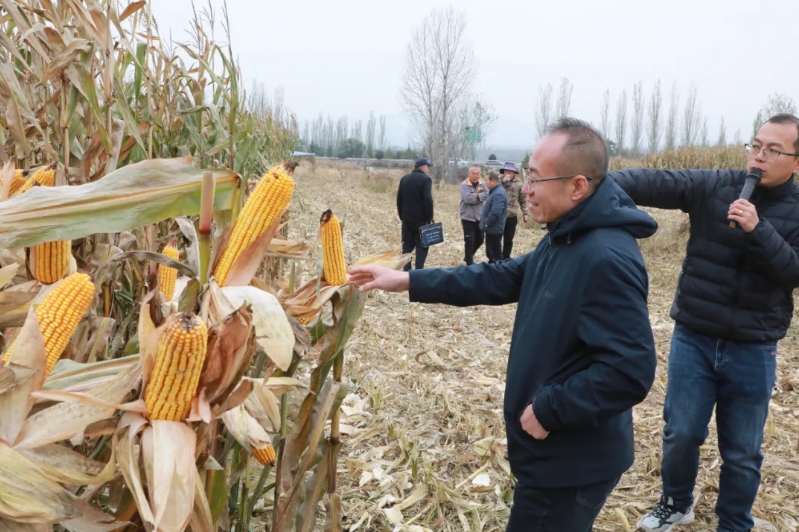 微信截图_20251021084342