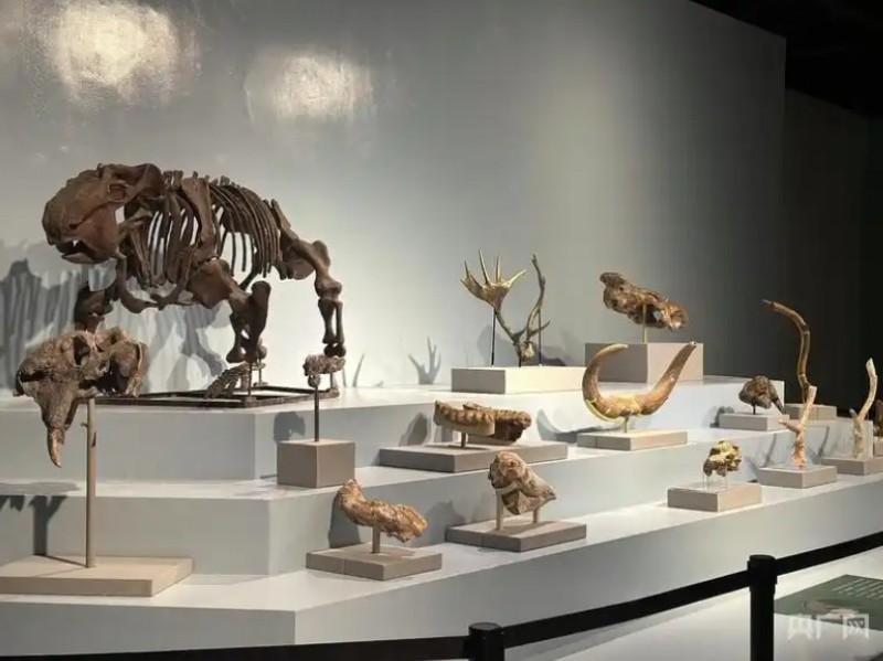 微信截图_20251022105736