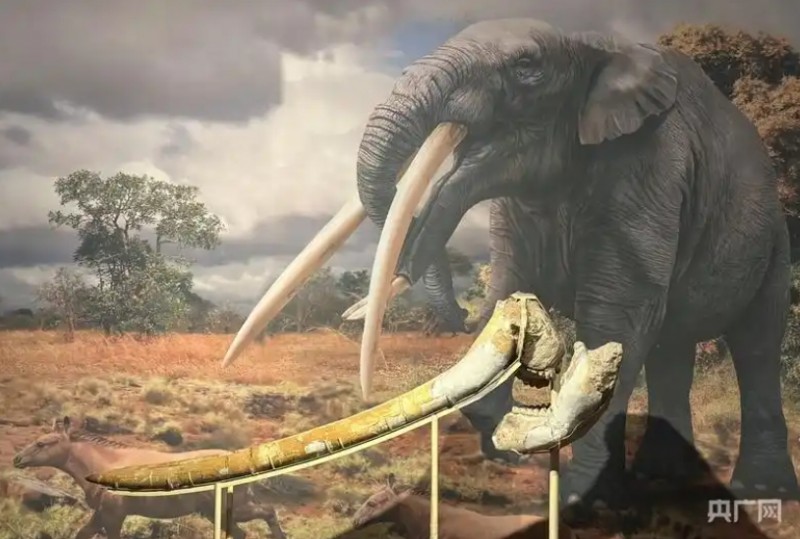 微信截图_20251022105759