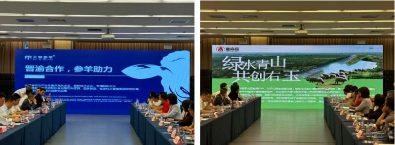 微信截图_20251022143445