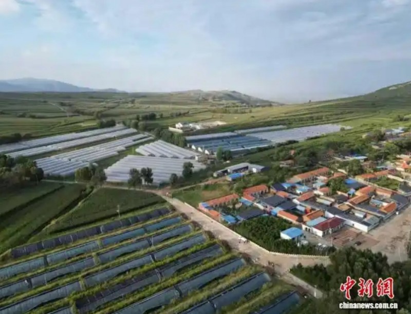 微信截图_20251022155242