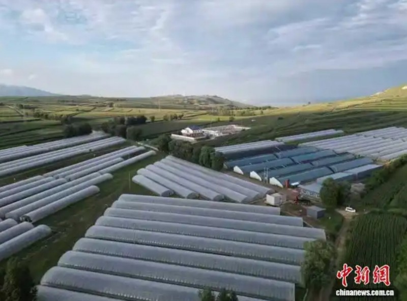 微信截图_20251022155329