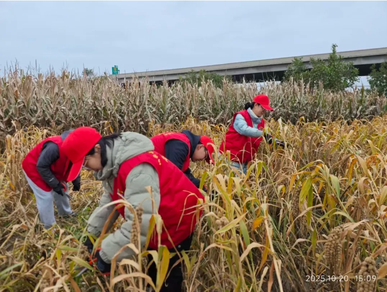 微信截图_20251023102509