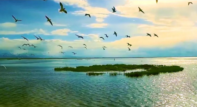 微信截图_20251023104014