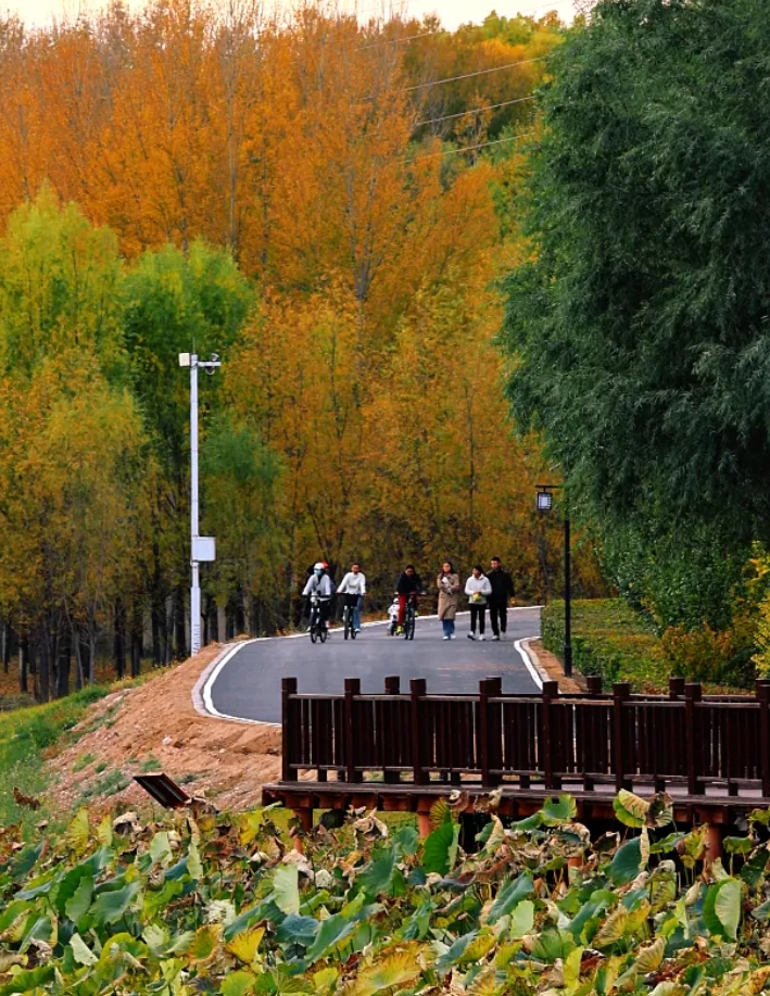 微信截图_20251023104100