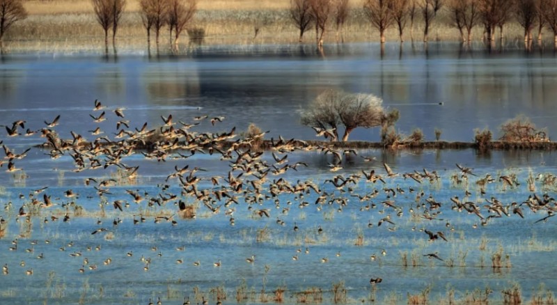 微信截图_20251027143247