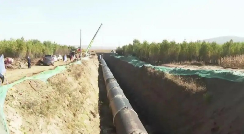 微信截图_20251027170037