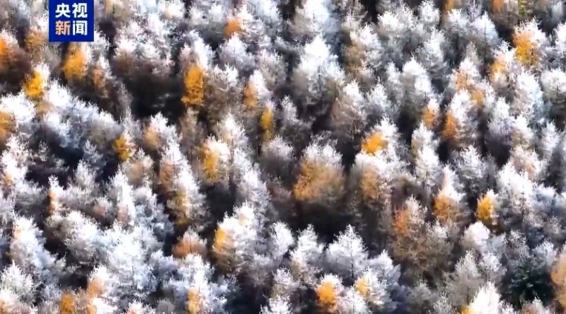 微信截图_20251028085142