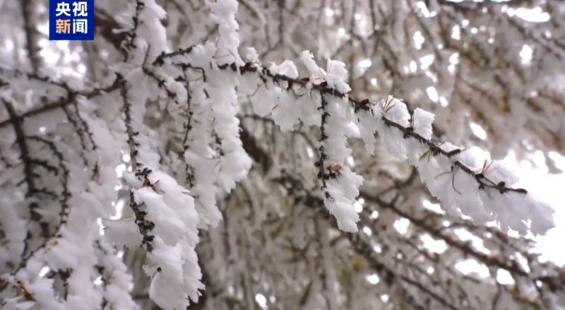 微信截图_20251028085149