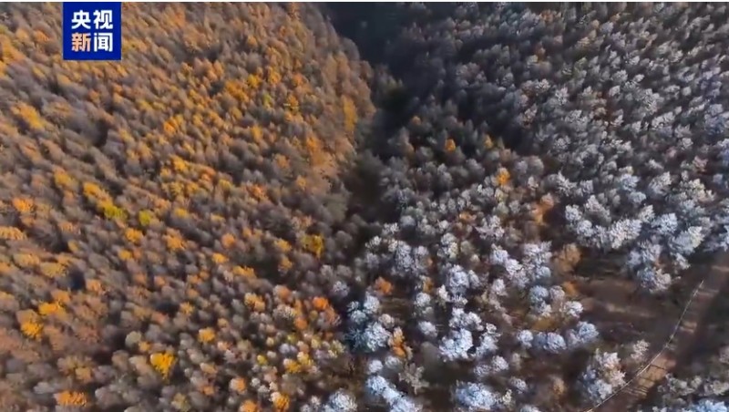 微信截图_20251028085156