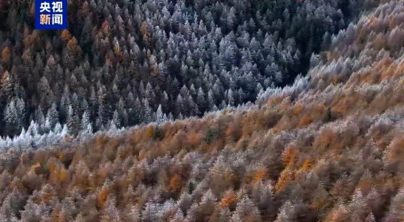 微信截图_20251028085208