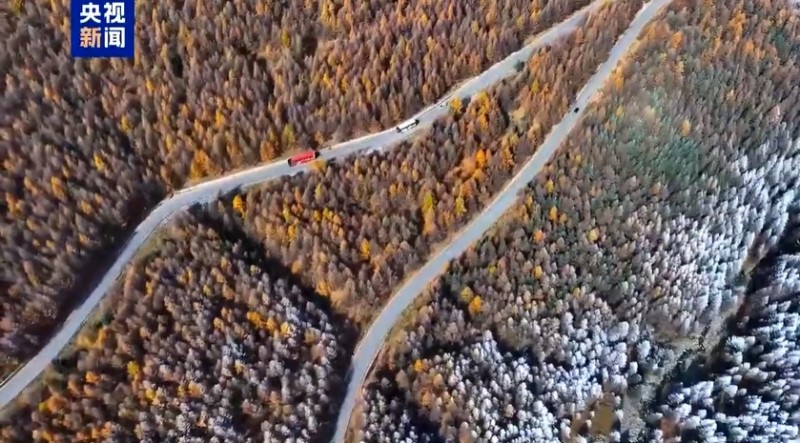 微信截图_20251028085216