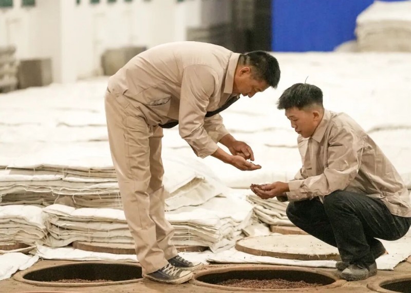 体系化锻造：汾酒的匠心传承与人才基石｜传承与创新