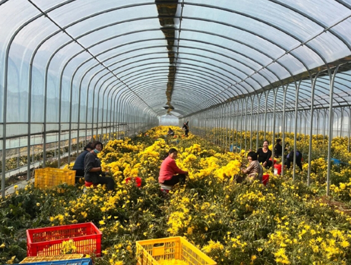 微信截图_20251029103440