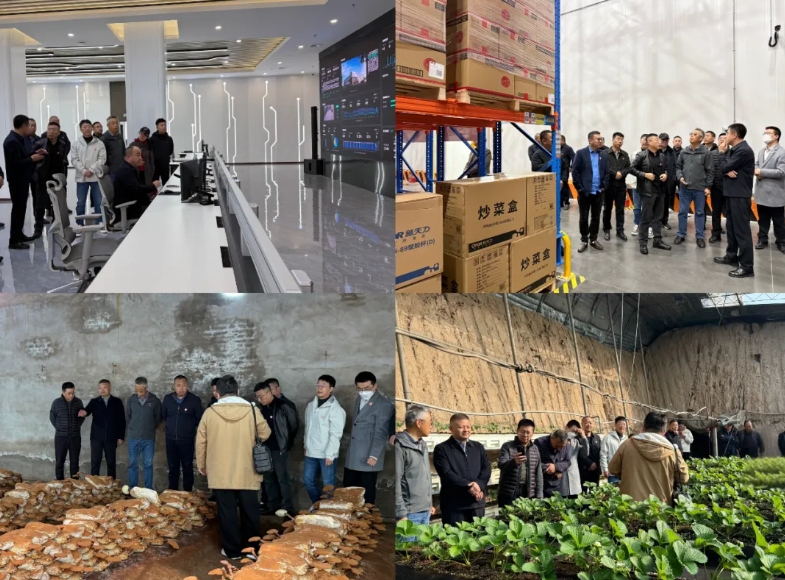 微信截图_20251030102420