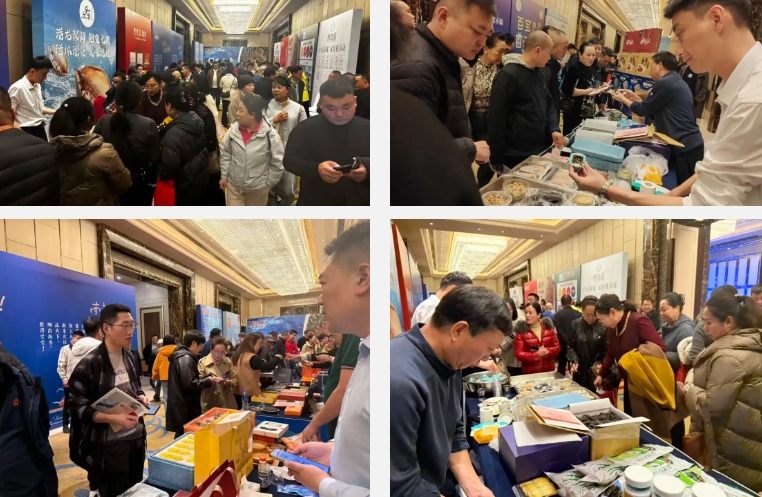 微信截图_20251031170023