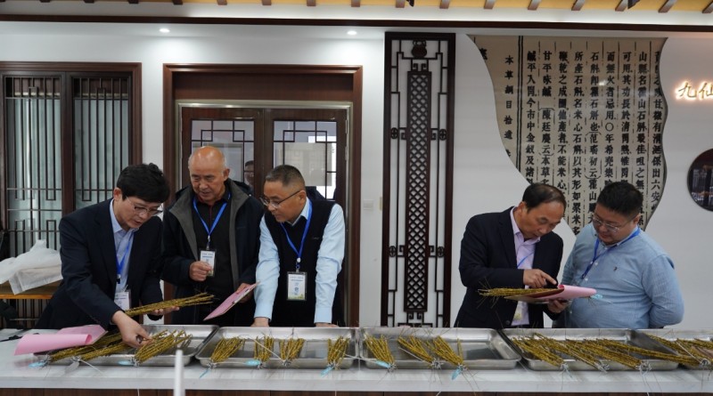 微信截图_20251103103148